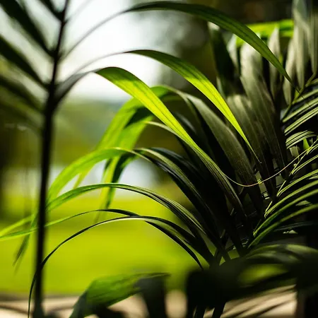 Armathwaite Hall & *