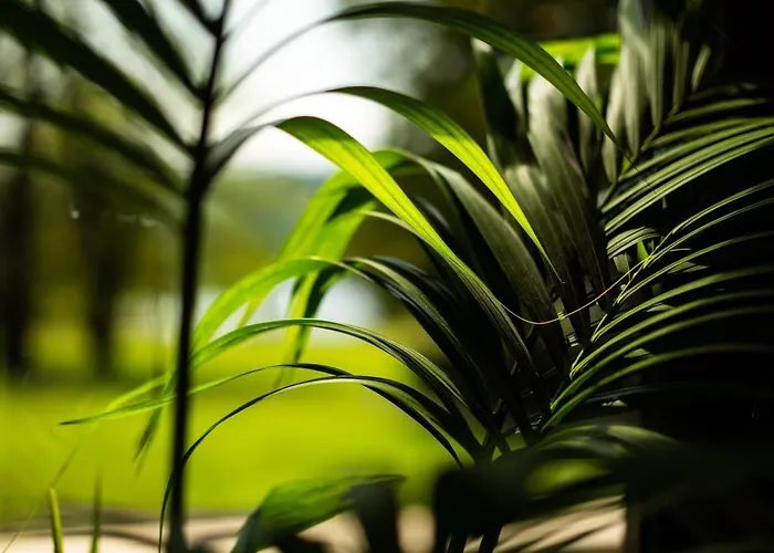 Armathwaite Hall & *